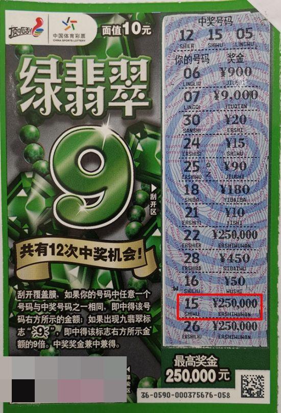 3、枣庄“绿翡翠”25万.jpg